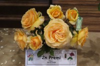 /album/fotogaleria-fotografia-macro/gggggggggggggggg-057-640x480-jpg/